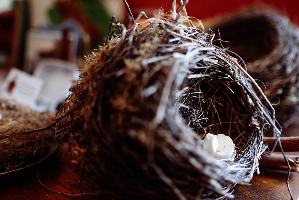 Juzet-de-Luchon Le Poujastou Bed & Breakfast エクステリア 写真